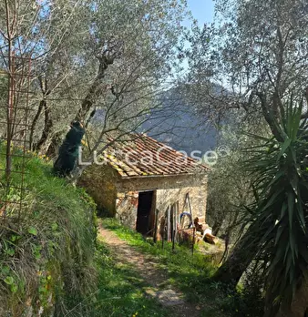Foto annuncio 6