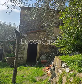 Foto annuncio 11