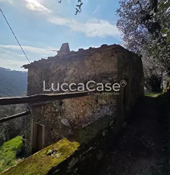 Foto annuncio 12