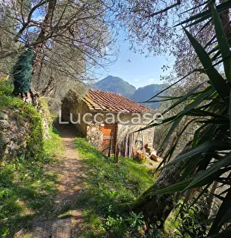 Foto annuncio 1