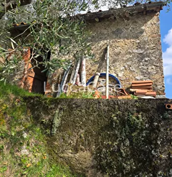 Foto annuncio 10