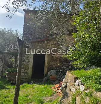 Foto annuncio 8