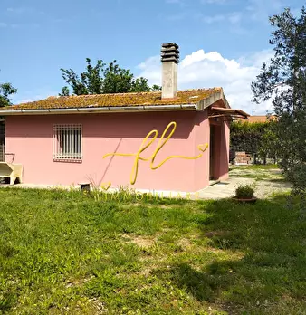 Foto annuncio 6