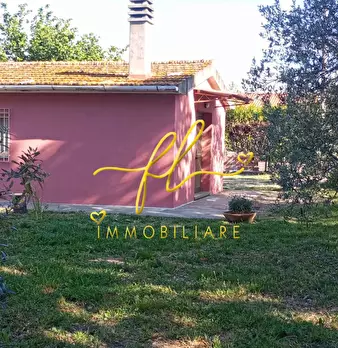 Foto annuncio 4