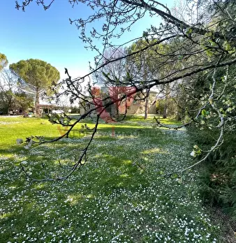 Foto annuncio 4