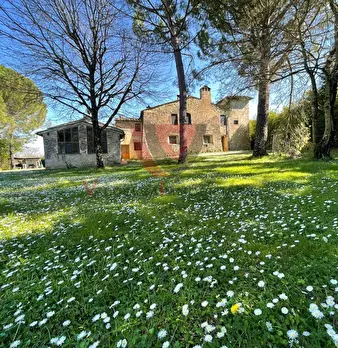 Foto annuncio 43