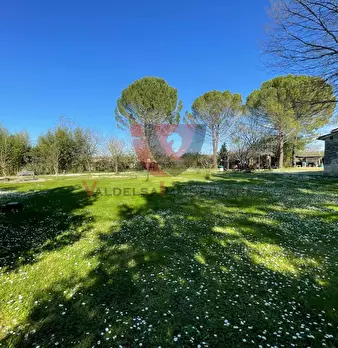 Foto annuncio 44