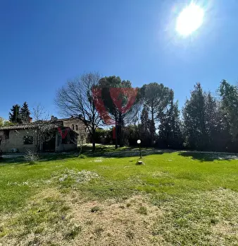 Foto annuncio 46