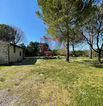 Foto annuncio 50
