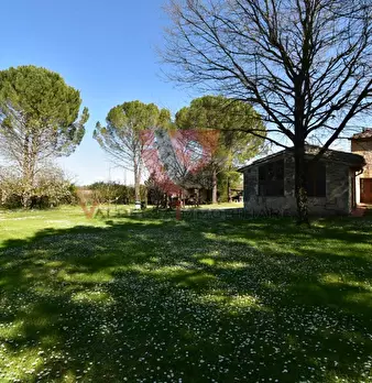 Foto annuncio 41