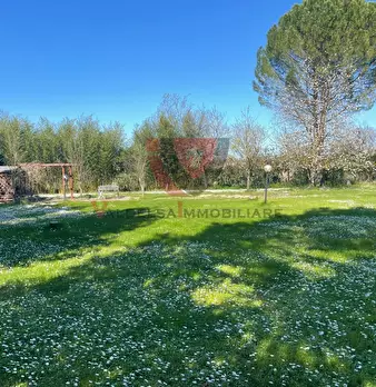 Foto annuncio 45