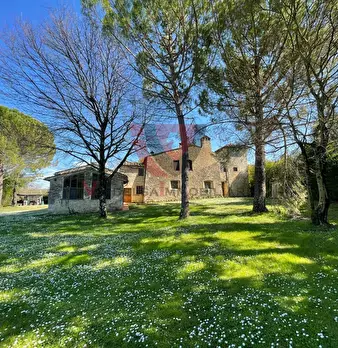 Foto annuncio 39
