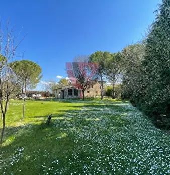 Foto annuncio 49