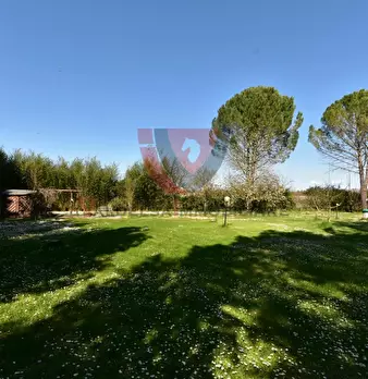 Foto annuncio 38