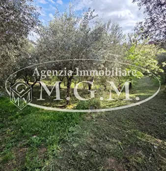 Foto annuncio 24