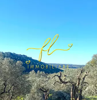 Foto annuncio 12