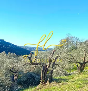 Foto annuncio 15