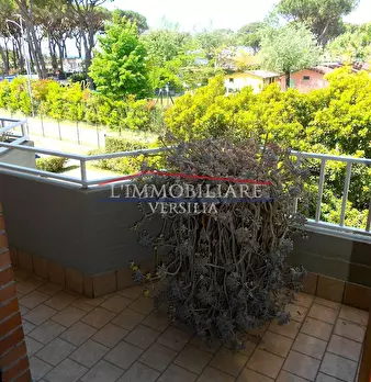 Foto annuncio 34