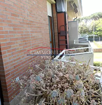 Foto annuncio 22