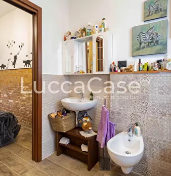 Foto annuncio 19