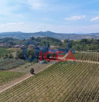 Foto annuncio 20