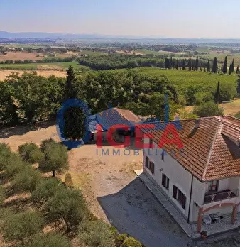 Foto annuncio 19
