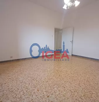 Foto annuncio 14