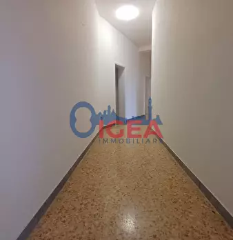 Foto annuncio 15