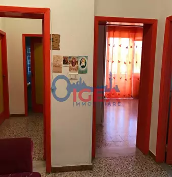 Foto annuncio 19