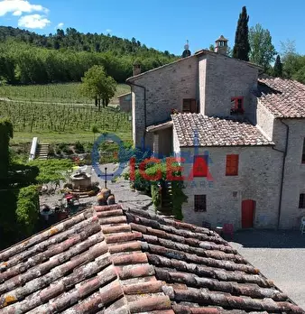 Foto annuncio 12