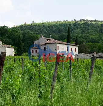 Foto annuncio 7