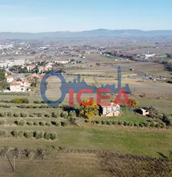 Foto annuncio 26