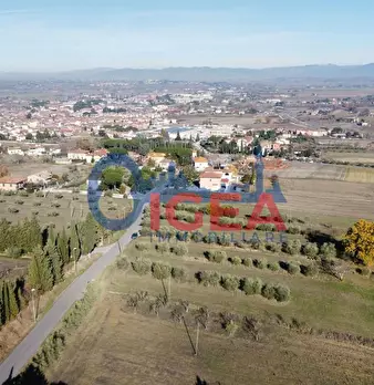 Foto annuncio 25