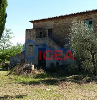 Foto annuncio 31