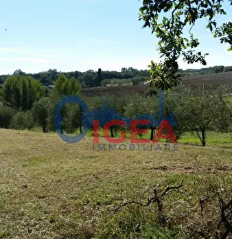 Foto annuncio 11