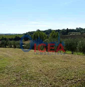 Foto annuncio 12