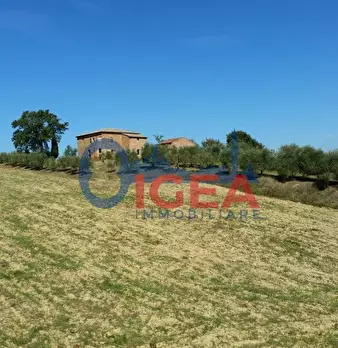 Foto annuncio 28