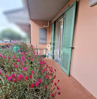 Foto annuncio 44