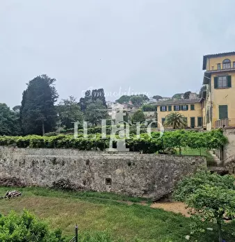 Foto annuncio 50