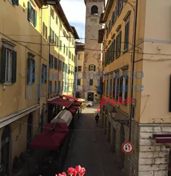 Foto annuncio 10