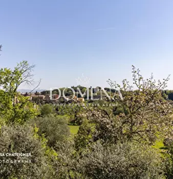 Foto annuncio 38
