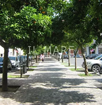 Foto annuncio 19