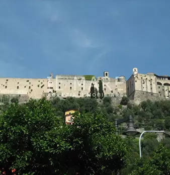 Foto annuncio 13