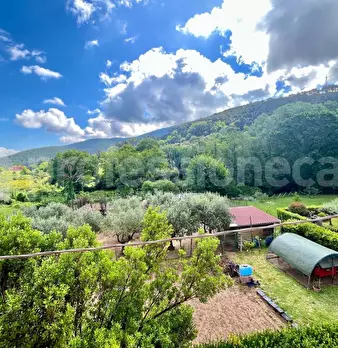 Foto annuncio 24