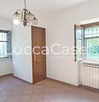 Foto annuncio 24