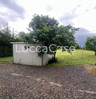 Foto annuncio 10