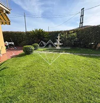 Foto annuncio 24