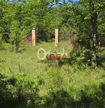Foto annuncio 19