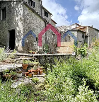 Foto annuncio 37