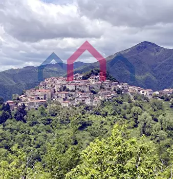 Foto annuncio 53